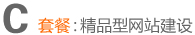 網頁設計套餐